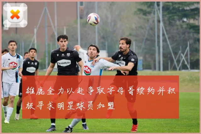 雄鹿全力以赴争取字母哥续约并积极寻求明星球员加盟