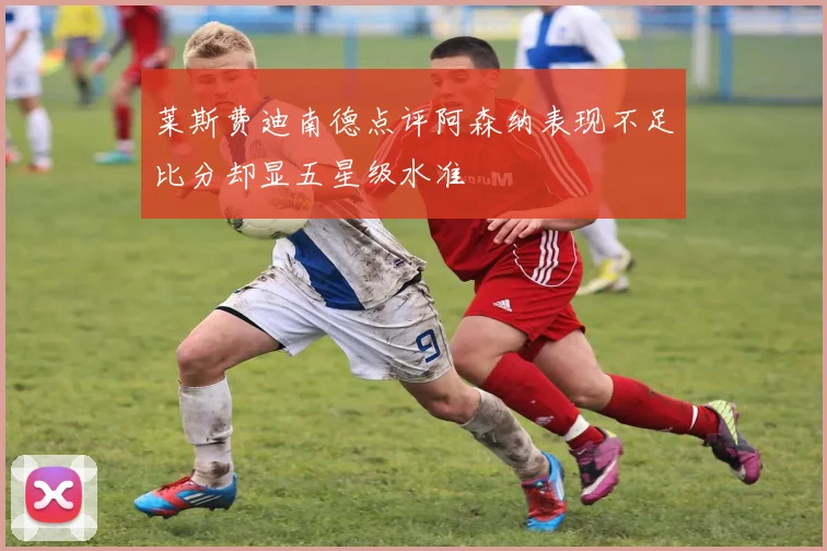 莱斯费迪南德点评阿森纳表现不足比分却显五星级水准