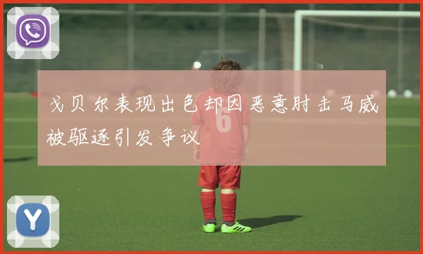 戈贝尔表现出色却因恶意肘击马威被驱逐引发争议